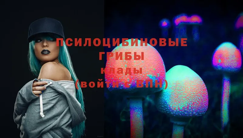 Псилоцибиновые грибы Cubensis  Вязьма 